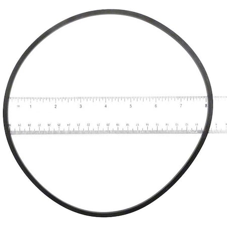 Whole-In-One Purex Lid O-Ring WH620318